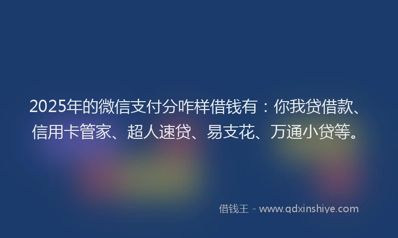 2025年的微信支付分咋样借钱有：你我贷借款、信用卡管家、超人速贷、易支花、万通小贷等。
