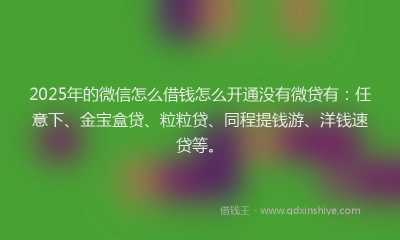 2025年的微信怎么借钱怎么开通没有微贷有：任意下、金宝盒贷、粒粒贷、同程提钱游、洋钱速贷等。
