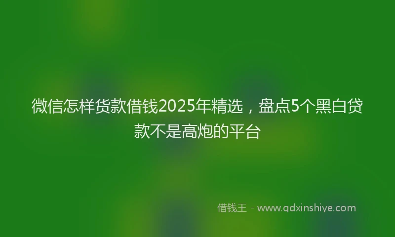 微信怎样货款借钱2025年精选，盘点5个黑白贷款不是高炮的平台