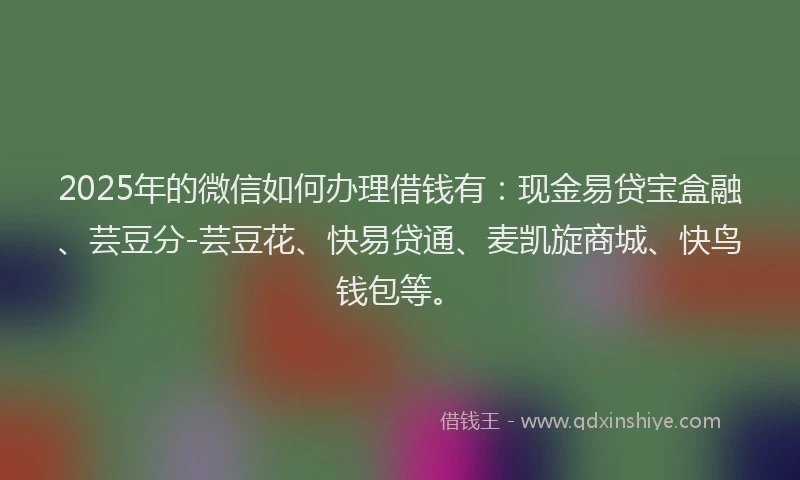 2025年的微信如何办理借钱有：现金易贷宝盒融、芸豆分-芸豆花、快易贷通、麦凯旋商城、快鸟钱包等。