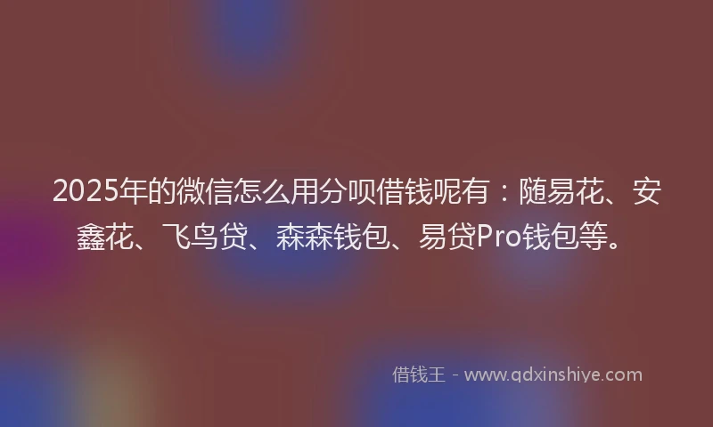 2025年的微信怎么用分呗借钱呢有：随易花、安鑫花、飞鸟贷、森森钱包、易贷Pro钱包等。
