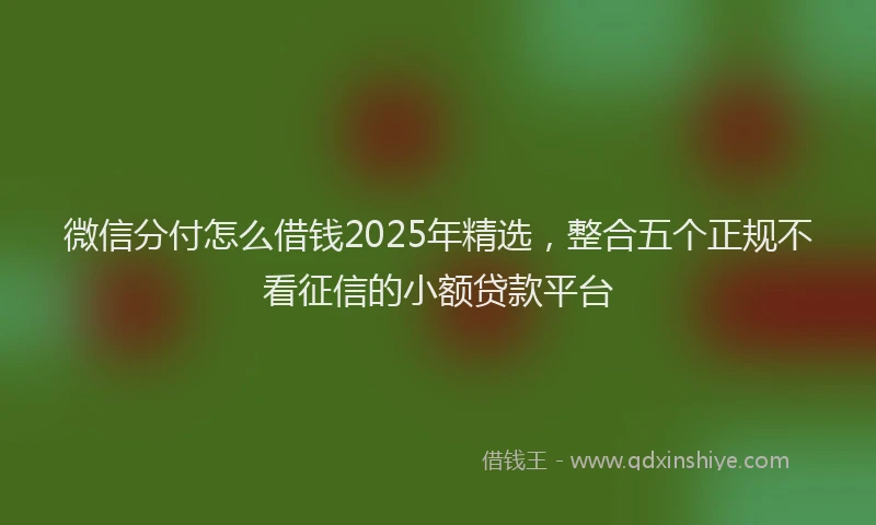 微信分付怎么借钱2025年精选，整合五个正规不看征信的小额贷款平台