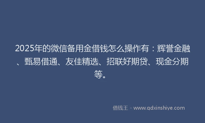 2025年的微信备用金借钱怎么操作有：辉誉金融、甄易借通、友佳精选、招联好期贷、现金分期等。