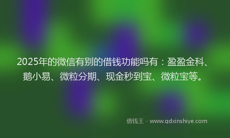 2025年的微信有别的借钱功能吗有：盈盈金科、鹅小易、微粒分期、现金秒到宝、微粒宝等。