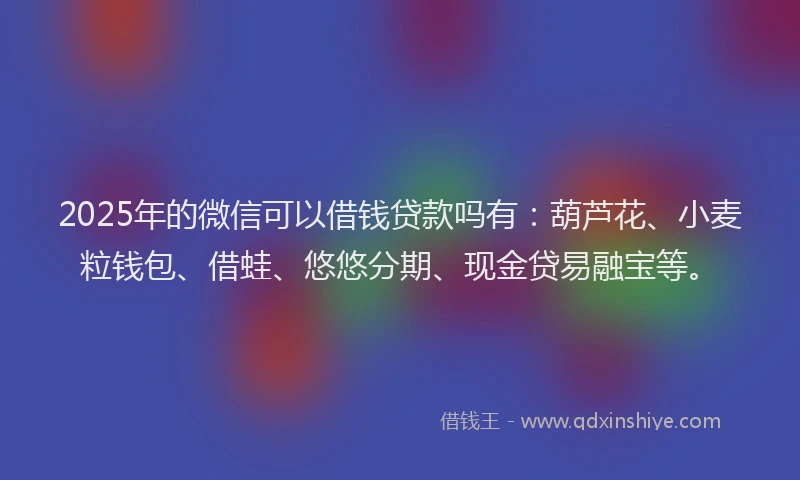 2025年的微信可以借钱贷款吗有：葫芦花、小麦粒钱包、借蛙、悠悠分期、现金贷易融宝等。