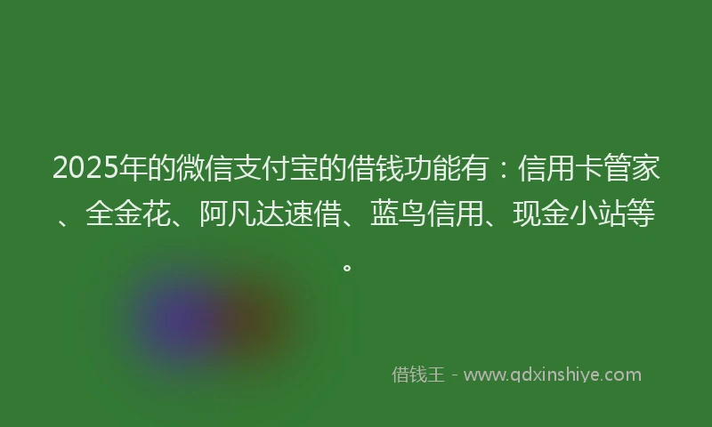2025年的微信支付宝的借钱功能有：信用卡管家、全金花、阿凡达速借、蓝鸟信用、现金小站等。
