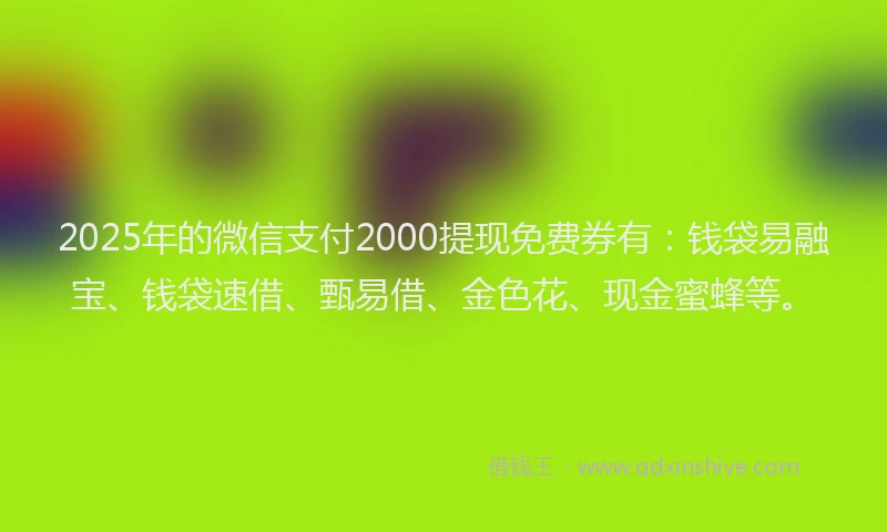 2025年的微信支付2000提现免费券有：钱袋易融宝、钱袋速借、甄易借、金色花、现金蜜蜂等。