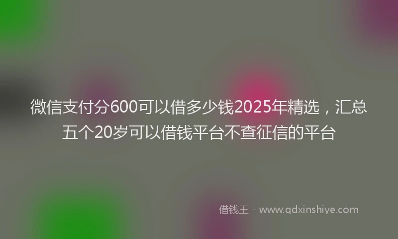微信支付分600可以借多少钱2025年精选，汇总五个20岁可以借钱平台不查征信的平台