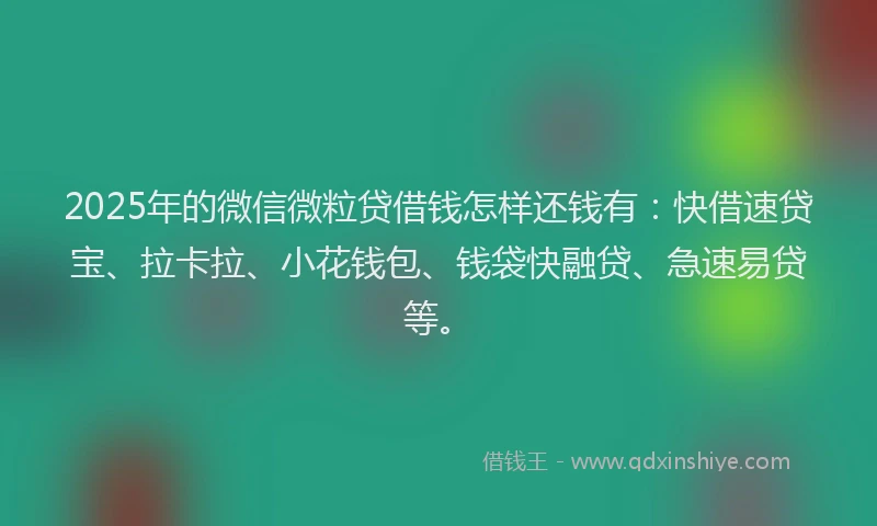 2025年的微信微粒贷借钱怎样还钱有：快借速贷宝、拉卡拉、小花钱包、钱袋快融贷、急速易贷等。