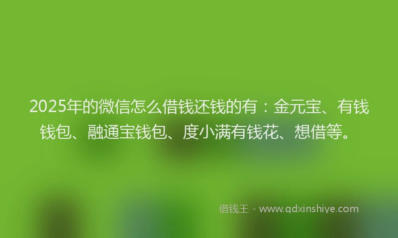 2025年的微信怎么借钱还钱的有：金元宝、有钱钱包、融通宝钱包、度小满有钱花、想借等。
