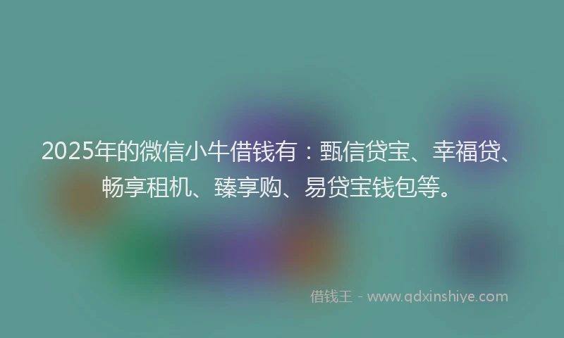 2025年的微信小牛借钱有：甄信贷宝、幸福贷、畅享租机、臻享购、易贷宝钱包等。