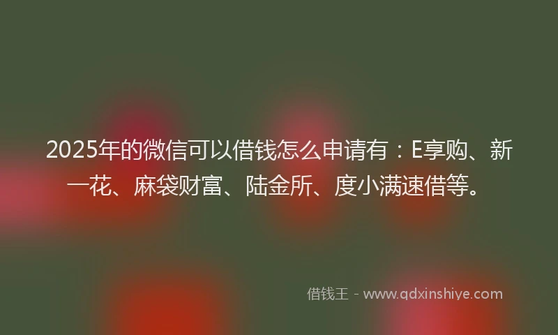 2025年的微信可以借钱怎么申请有：E享购、新一花、麻袋财富、陆金所、度小满速借等。