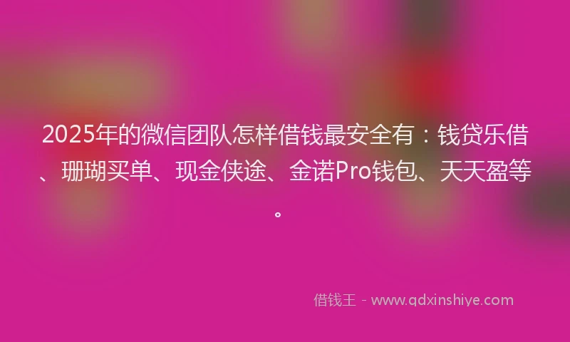 2025年的微信团队怎样借钱最安全有：钱贷乐借、珊瑚买单、现金侠途、金诺Pro钱包、天天盈等。