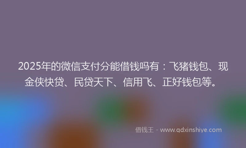 2025年的微信支付分能借钱吗有：飞猪钱包、现金侠快贷、民贷天下、信用飞、正好钱包等。
