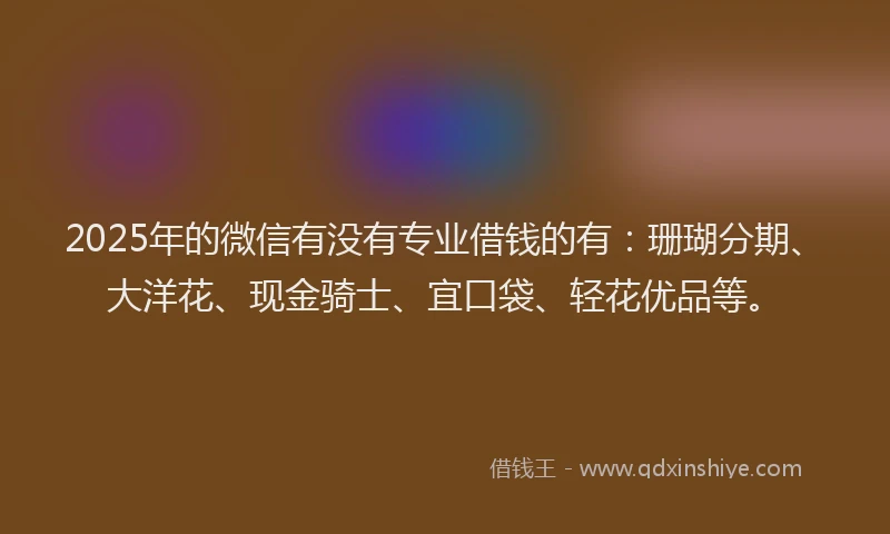 2025年的微信有没有专业借钱的有：珊瑚分期、大洋花、现金骑士、宜口袋、轻花优品等。
