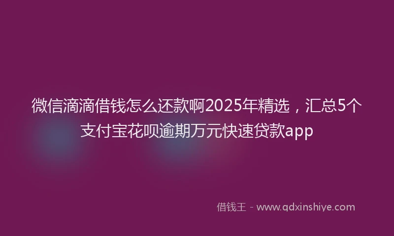 微信滴滴借钱怎么还款啊2025年精选，汇总5个支付宝花呗逾期万元快速贷款app