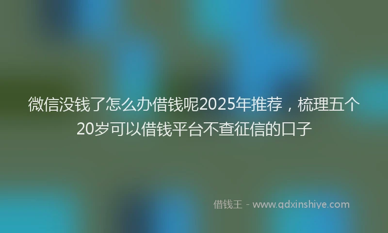 微信没钱了怎么办借钱呢2025年推荐，梳理五个20岁可以借钱平台不查征信的口子