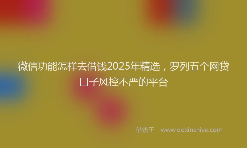 微信功能怎样去借钱2025年精选，罗列五个网贷口子风控不严的平台