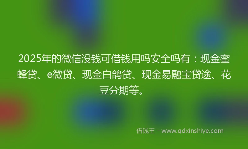 2025年的微信没钱可借钱用吗安全吗有：现金蜜蜂贷、e微贷、现金白鸽贷、现金易融宝贷途、花豆分期等。