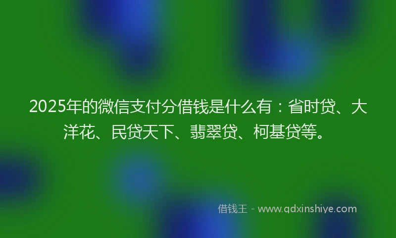 2025年的微信支付分借钱是什么有：省时贷、大洋花、民贷天下、翡翠贷、柯基贷等。