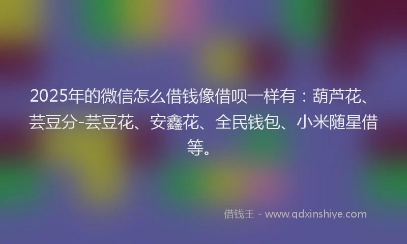 2025年的微信怎么借钱像借呗一样有：葫芦花、芸豆分-芸豆花、安鑫花、全民钱包、小米随星借等。