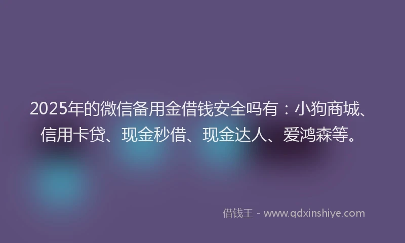 2025年的微信备用金借钱安全吗有：小狗商城、信用卡贷、现金秒借、现金达人、爱鸿森等。