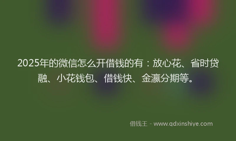 2025年的微信怎么开借钱的有：放心花、省时贷融、小花钱包、借钱快、金瀛分期等。