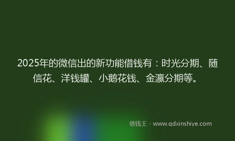 2025年的微信出的新功能借钱有：时光分期、随信花、洋钱罐、小鹅花钱、金瀛分期等。