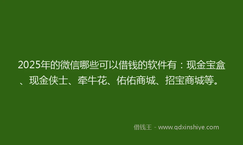 2025年的微信哪些可以借钱的软件有：现金宝盒、现金侠士、牵牛花、佑佑商城、招宝商城等。