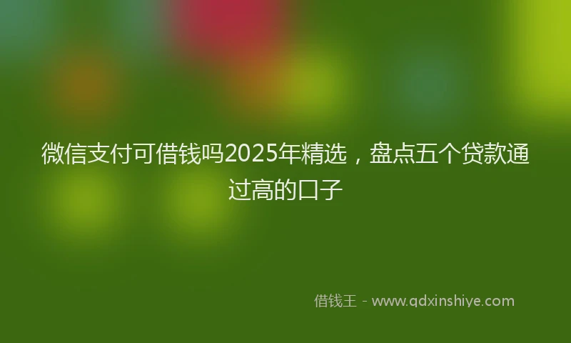 微信支付可借钱吗2025年精选，盘点五个贷款通过高的口子