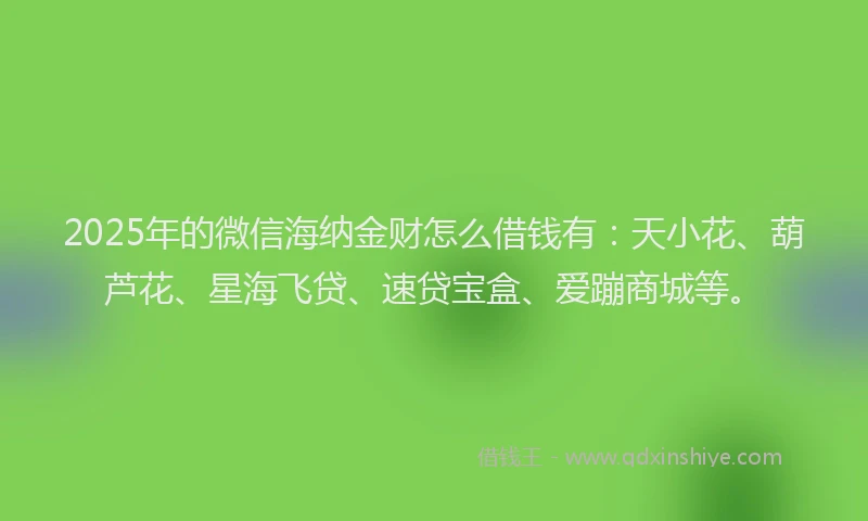 2025年的微信海纳金财怎么借钱有：天小花、葫芦花、星海飞贷、速贷宝盒、爱蹦商城等。