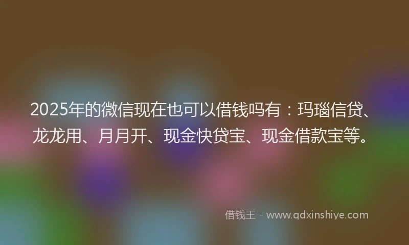 2025年的微信现在也可以借钱吗有：玛瑙信贷、龙龙用、月月开、现金快贷宝、现金借款宝等。