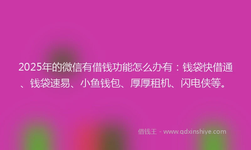 2025年的微信有借钱功能怎么办有：钱袋快借通、钱袋速易、小鱼钱包、厚厚租机、闪电侠等。