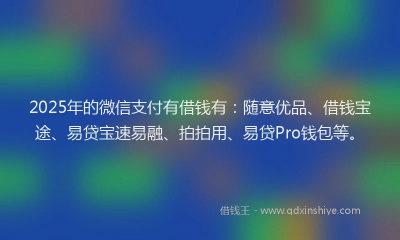2025年的微信支付有借钱有：随意优品、借钱宝途、易贷宝速易融、拍拍用、易贷Pro钱包等。
