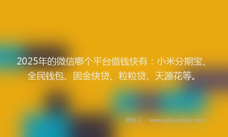 2025年的微信哪个平台借钱快有：小米分期宝、全民钱包、固金快贷、粒粒贷、天源花等。
