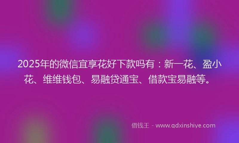 2025年的微信宜享花好下款吗有：新一花、盈小花、维维钱包、易融贷通宝、借款宝易融等。
