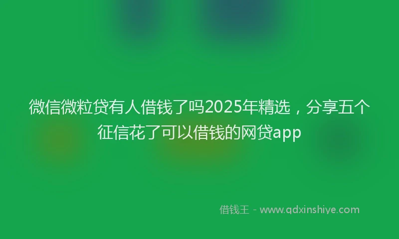 微信微粒贷有人借钱了吗2025年精选，分享五个征信花了可以借钱的网贷app