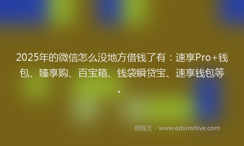2025年的微信怎么没地方借钱了有：速享Pro+钱包、臻享购、百宝箱、钱袋瞬贷宝、速享钱包等。