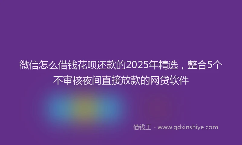 微信怎么借钱花呗还款的2025年精选，整合5个不审核夜间直接放款的网贷软件