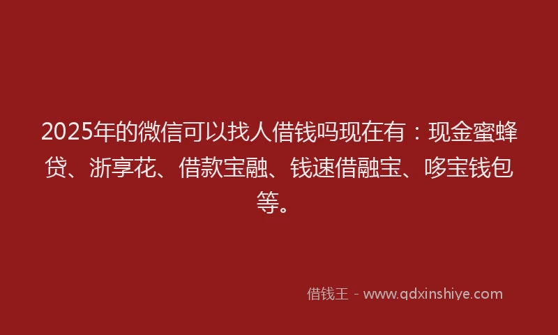 2025年的微信可以找人借钱吗现在有：现金蜜蜂贷、浙享花、借款宝融、钱速借融宝、哆宝钱包等。