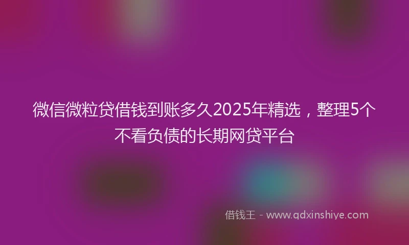 微信微粒贷借钱到账多久2025年精选，整理5个不看负债的长期网贷平台