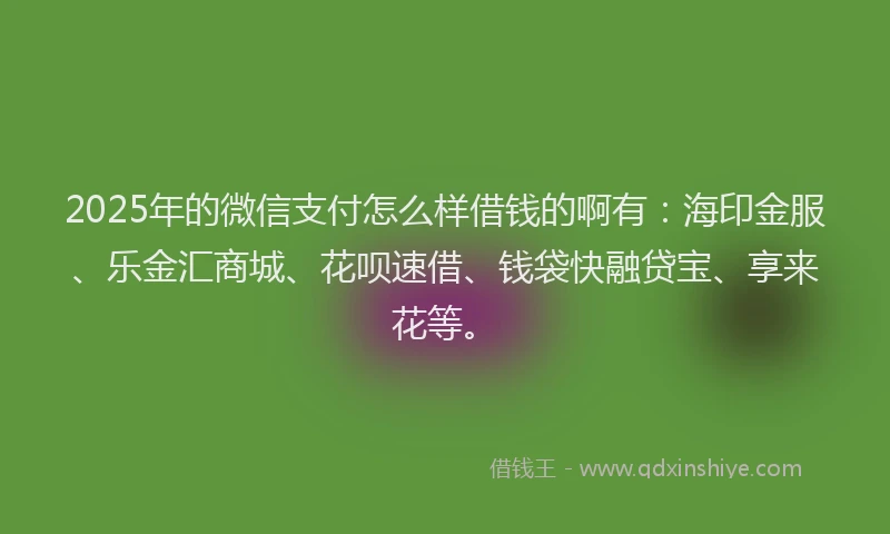 2025年的微信支付怎么样借钱的啊有：海印金服、乐金汇商城、花呗速借、钱袋快融贷宝、享来花等。