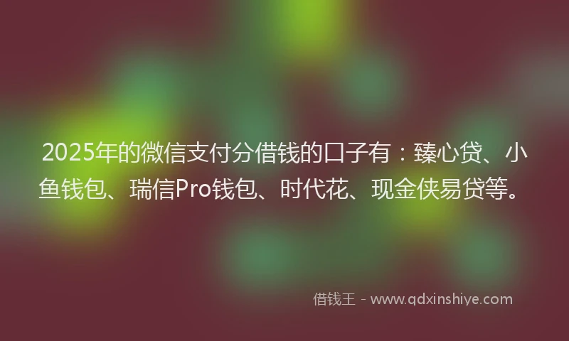 2025年的微信支付分借钱的口子有：臻心贷、小鱼钱包、瑞信Pro钱包、时代花、现金侠易贷等。