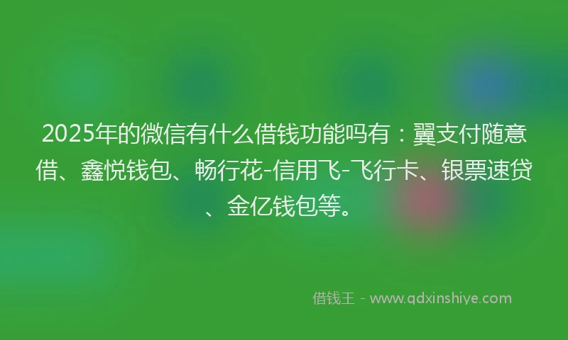2025年的微信有什么借钱功能吗有：翼支付随意借、鑫悦钱包、畅行花-信用飞-飞行卡、银票速贷、金亿钱包等。