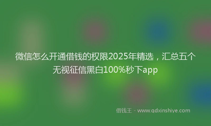 微信怎么开通借钱的权限2025年精选，汇总五个无视征信黑白100%秒下app