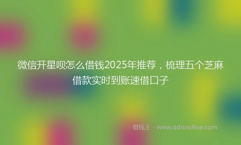 微信开星呗怎么借钱2025年推荐，梳理五个芝麻借款实时到账速借口子