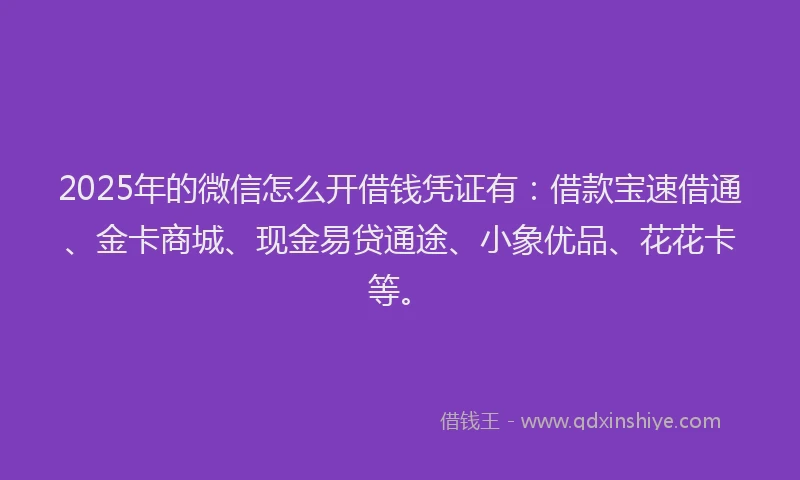 2025年的微信怎么开借钱凭证有：借款宝速借通、金卡商城、现金易贷通途、小象优品、花花卡等。