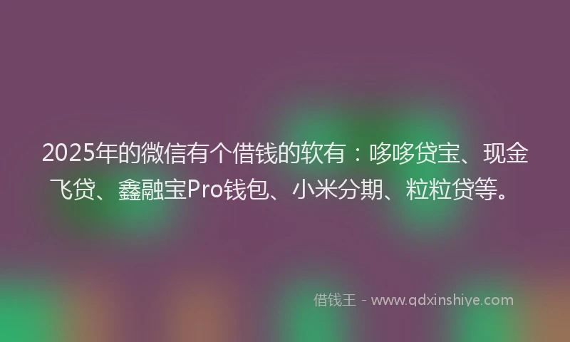 2025年的微信有个借钱的软有：哆哆贷宝、现金飞贷、鑫融宝Pro钱包、小米分期、粒粒贷等。