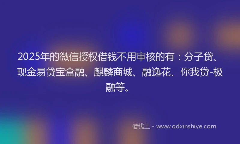 2025年的微信授权借钱不用审核的有：分子贷、现金易贷宝盒融、麒麟商城、融逸花、你我贷-极融等。