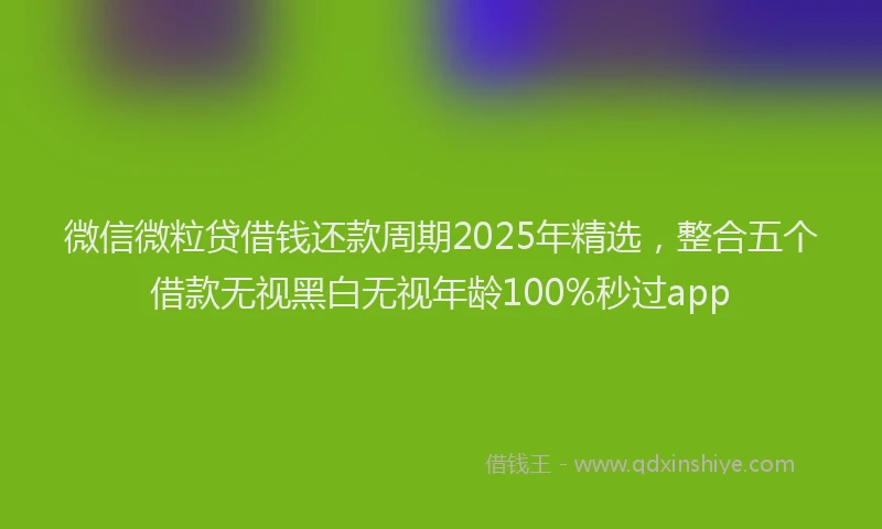 微信微粒贷借钱还款周期2025年精选，整合五个借款无视黑白无视年龄100%秒过app